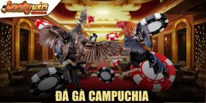 Đá Gà Campuchia