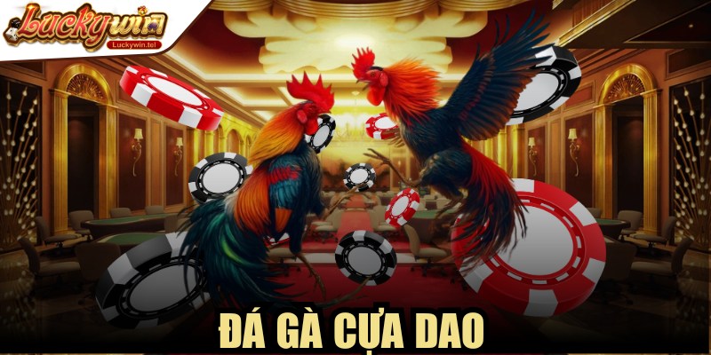 Đá Gà Cựa Dao