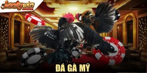 Đá Gà Mỹ